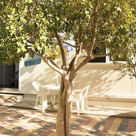 Κάμπινγκ Chania